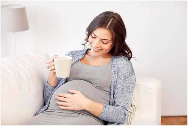 ройбос при беременности