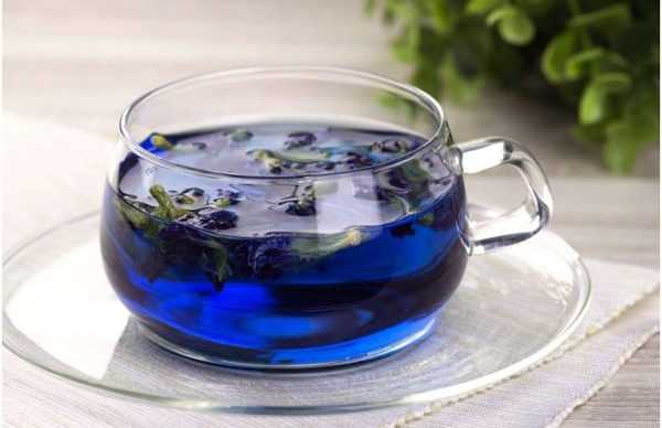 синий чай из клитории