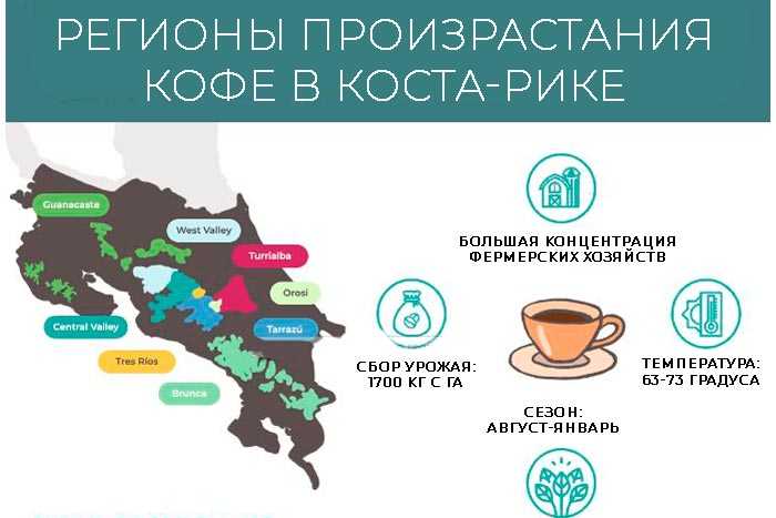 регионы произрастания кофе