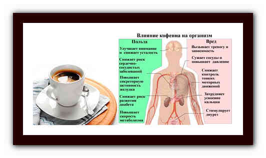 Кофеин влияние на организм проект